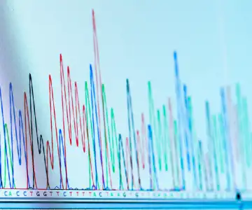 chromatography