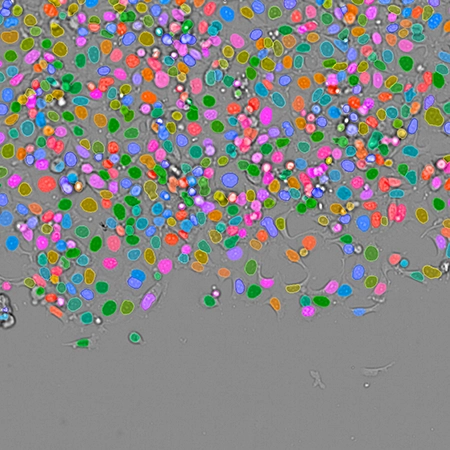 Image Artist – Streamlined Scientific Image Analysis