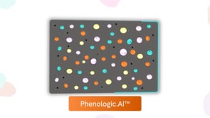 AI for Understanding